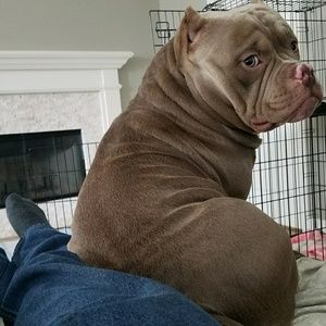 Meet your Posher, Joel